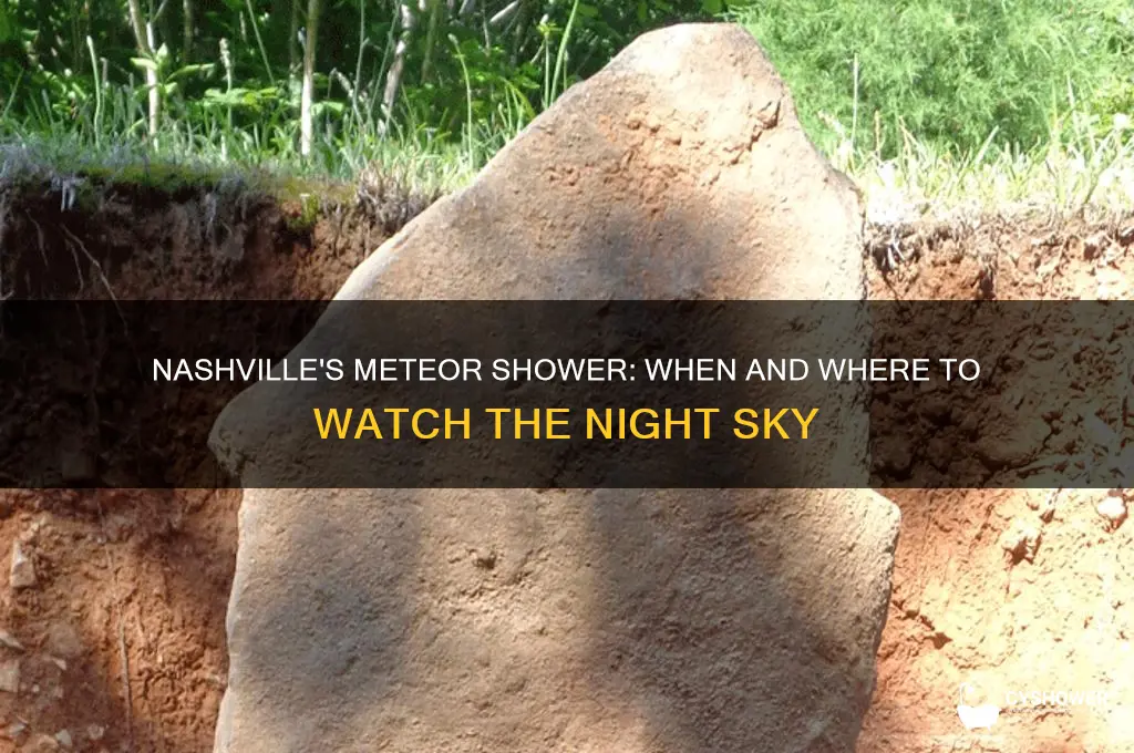 what time is the meteor shower in nashville tennessee