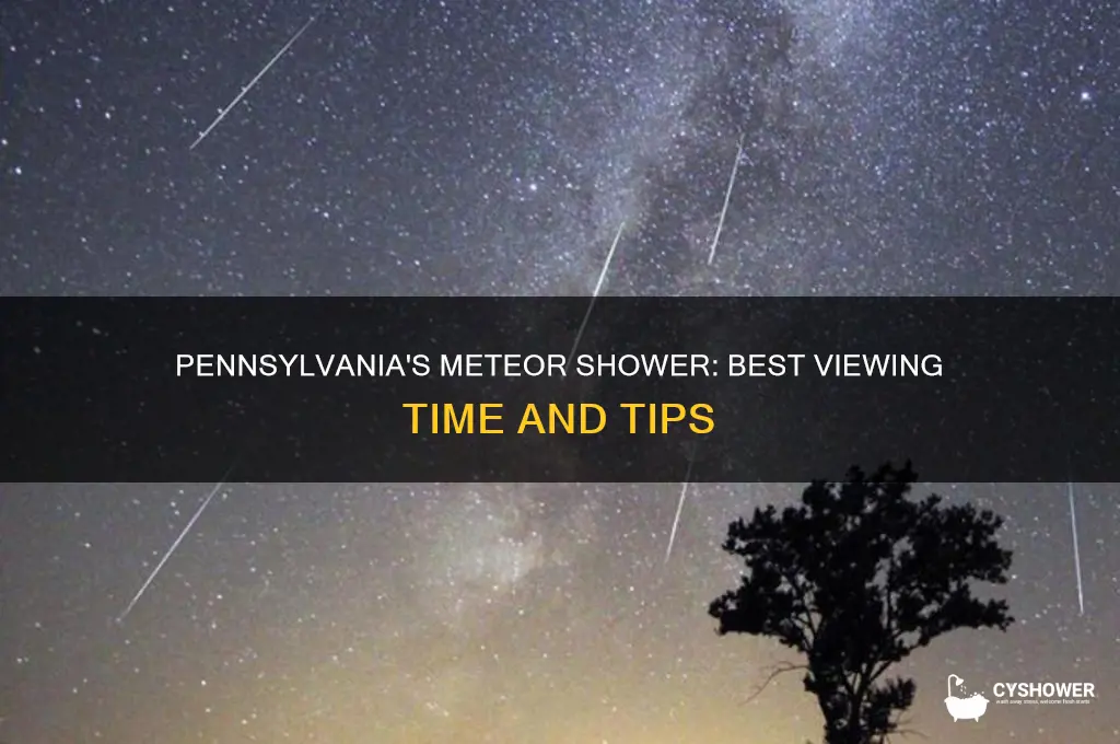 what time is the meteor shower in pennsylvania