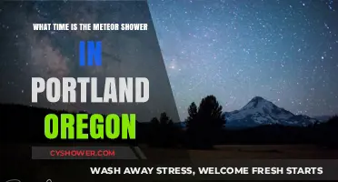 Portland Oregon's Meteor Shower: Timing and Viewing Tips