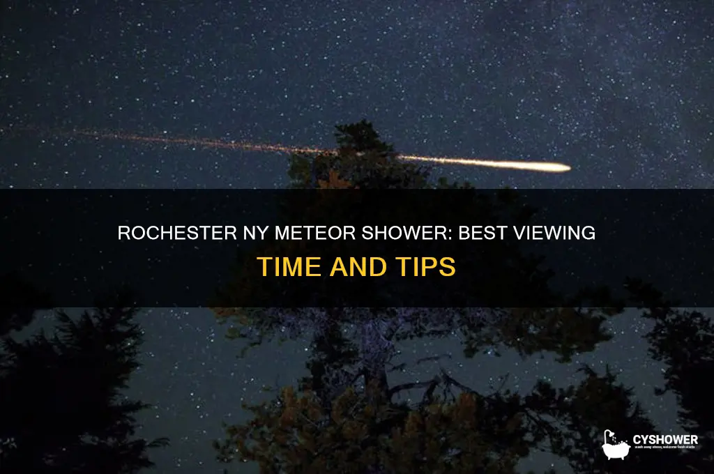 what time is the meteor shower in rochester ny