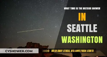 Seattle's Meteor Shower: When and Where to Watch the Night Sky