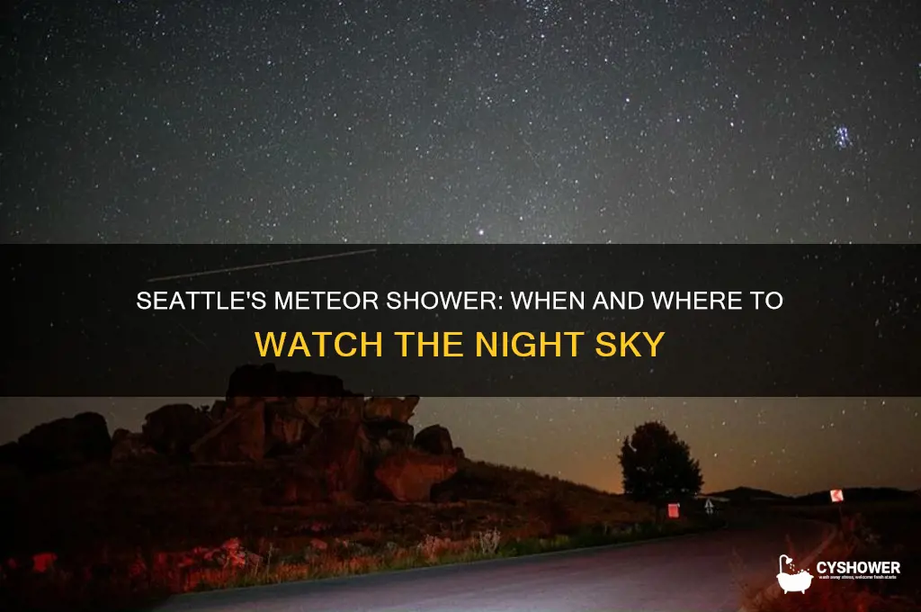 what time is the meteor shower in seattle washington