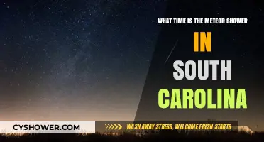South Carolina Meteor Shower: When and Where to Watch the Night Sky