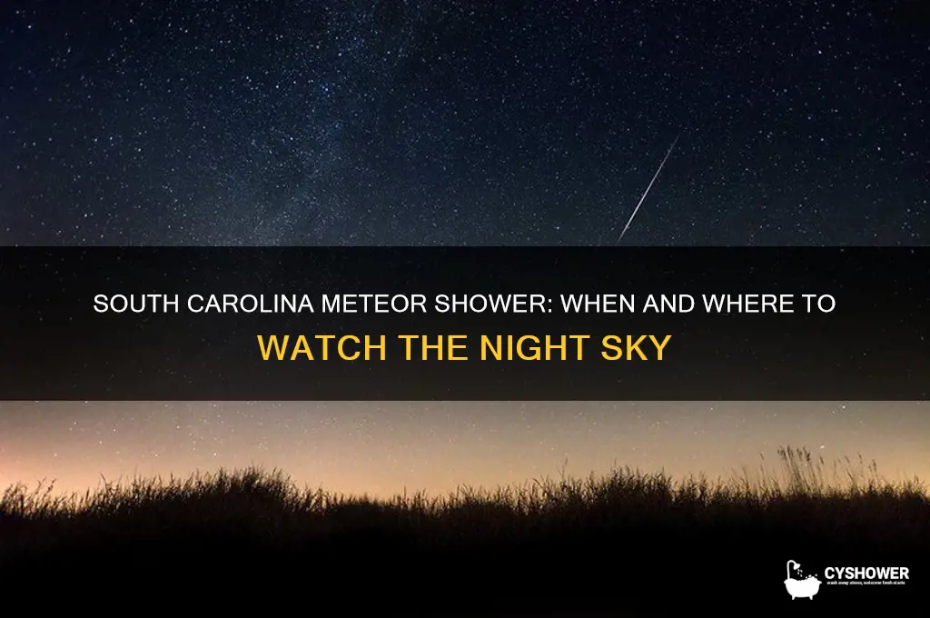 what time is the meteor shower in south carolina