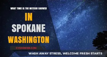 Spokane's Meteor Shower: Best Viewing Time and Tips