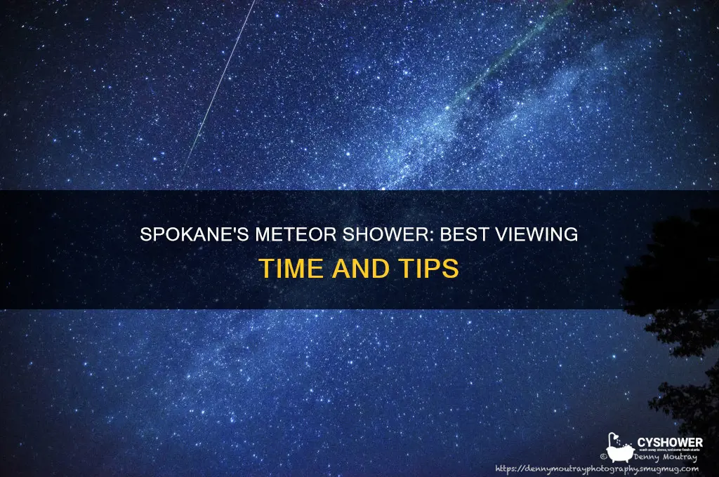 what time is the meteor shower in spokane washington
