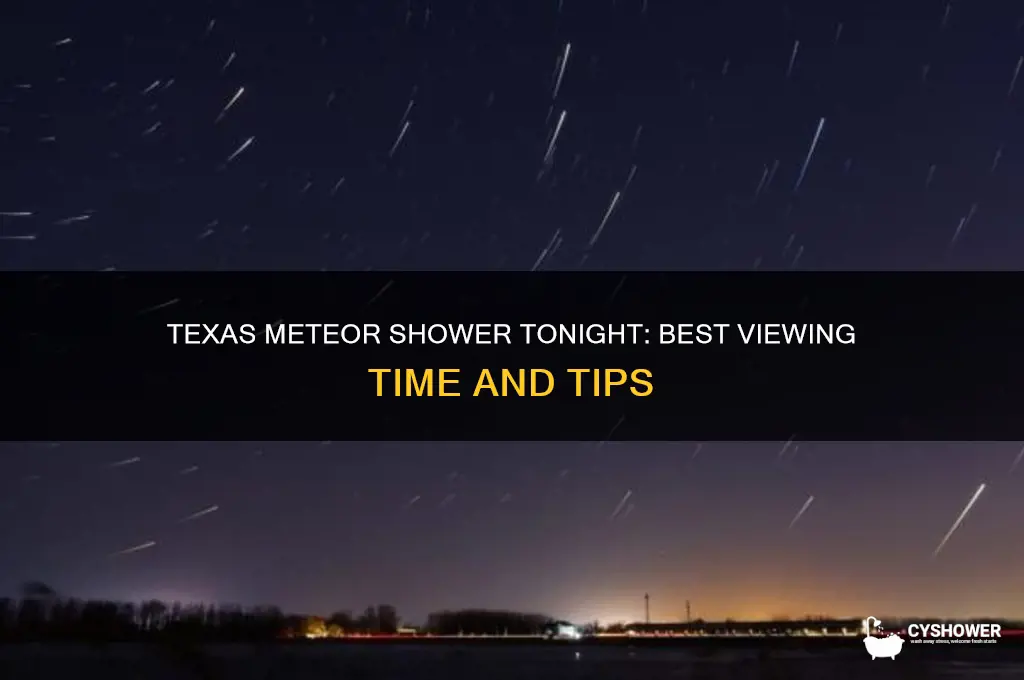 what time is the meteor shower in texas tonight