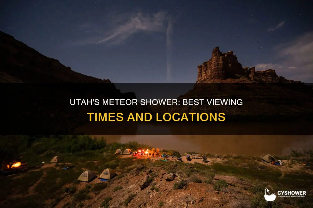 what time is the meteor shower in utah
