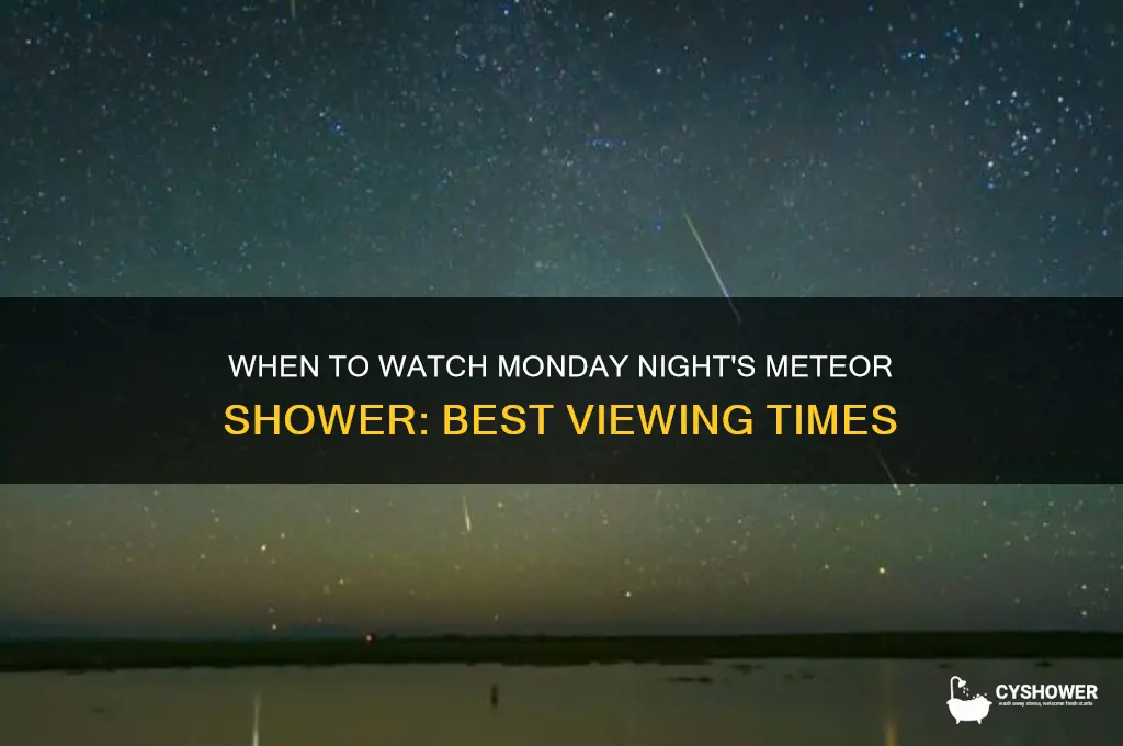 what time is the meteor shower monday night