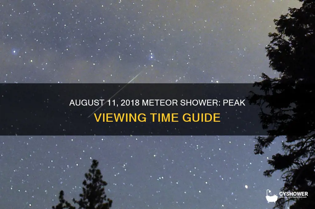 what time is the meteor shower on 8-11-18