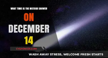 December 14 Meteor Shower: Peak Viewing Time and Tips