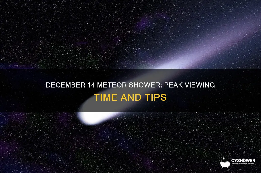 what time is the meteor shower on december 14