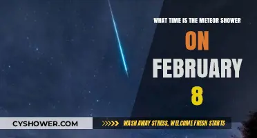February 8 Meteor Shower: When and Where to Watch the Celestial Show