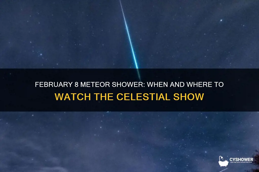 what time is the meteor shower on february 8