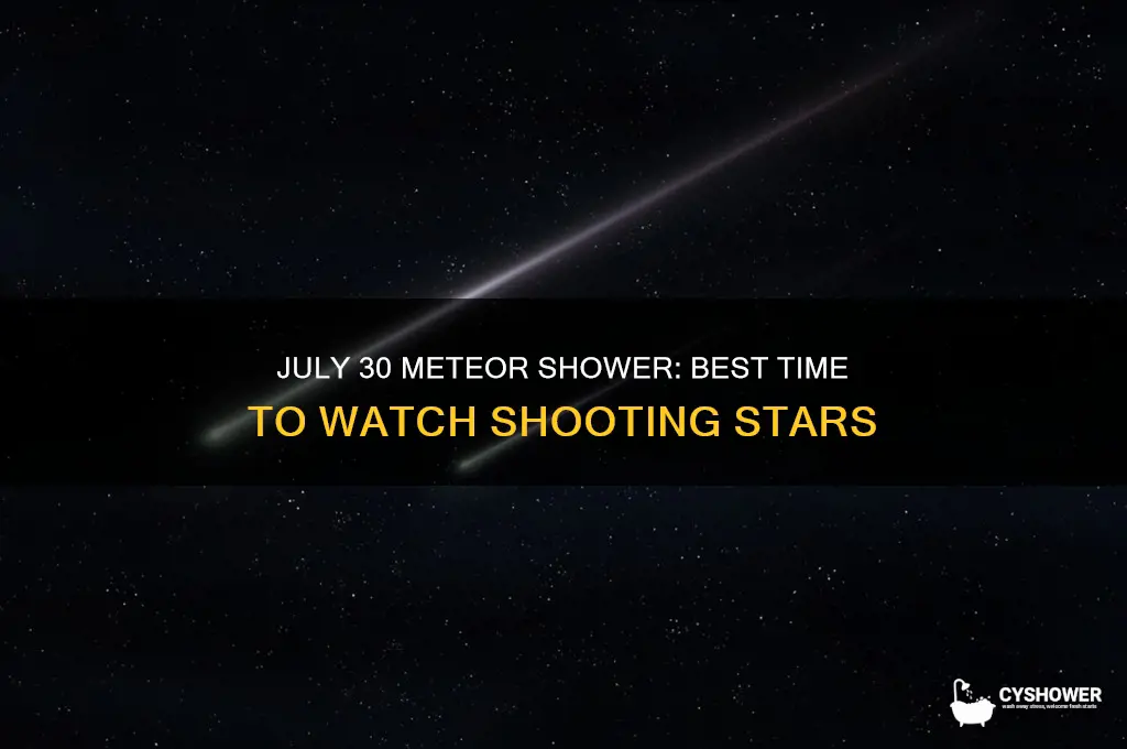what time is the meteor shower on july 30