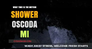 When to Watch the Meteor Shower in Oscoda, MI
