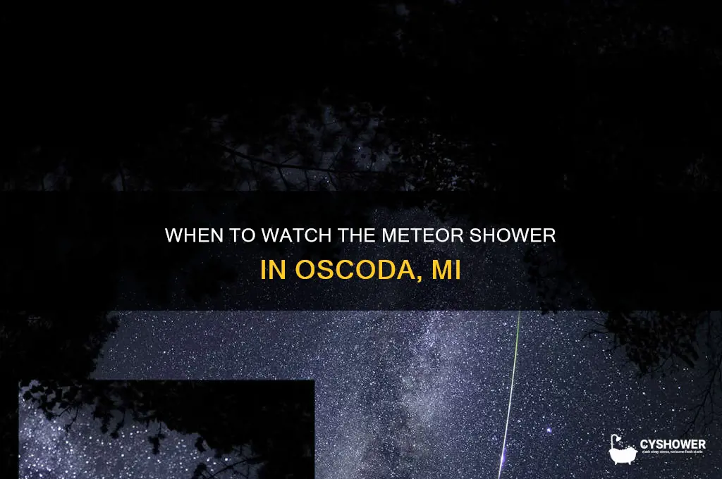 what time is the meteor shower oscoda mi