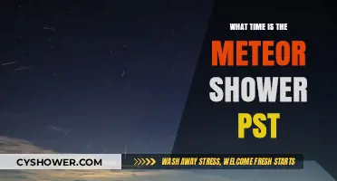Catch the Meteor Shower: PST Viewing Time Guide