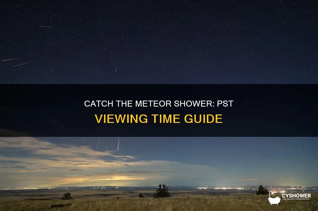 what time is the meteor shower pst