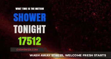 Tonight's Meteor Shower: Best Viewing Time for 17512 Area