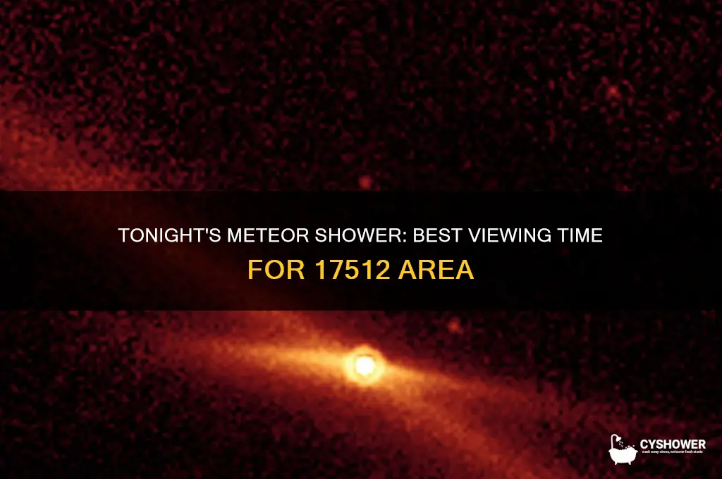 what time is the meteor shower tonight 17512