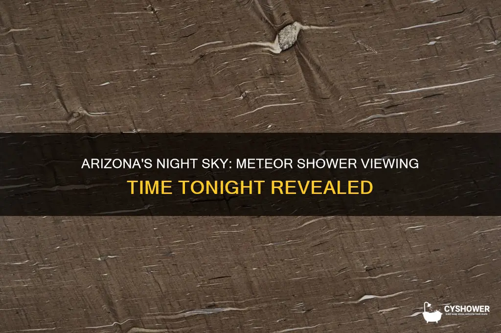 what time is the meteor shower tonight az