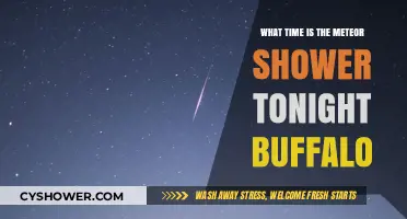 Buffalo's Night Sky: Meteor Shower Viewing Time Tonight Guide