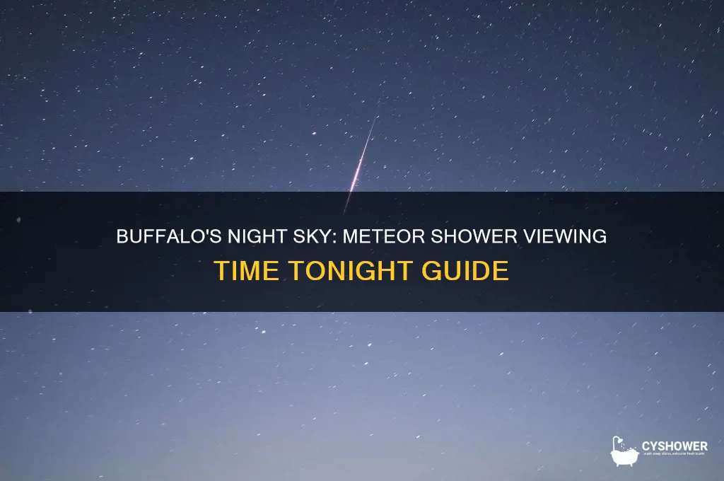 what time is the meteor shower tonight buffalo