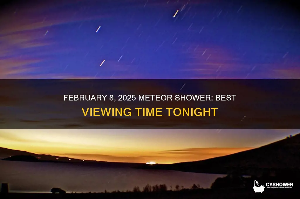 what time is the meteor shower tonight feb 8 2025