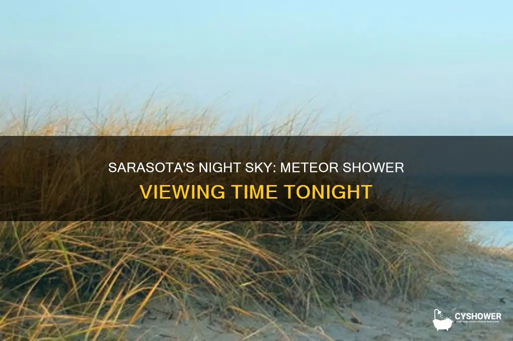 what time is the meteor shower tonight for sarasota florida