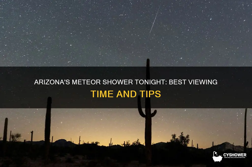 what time is the meteor shower tonight in arizona