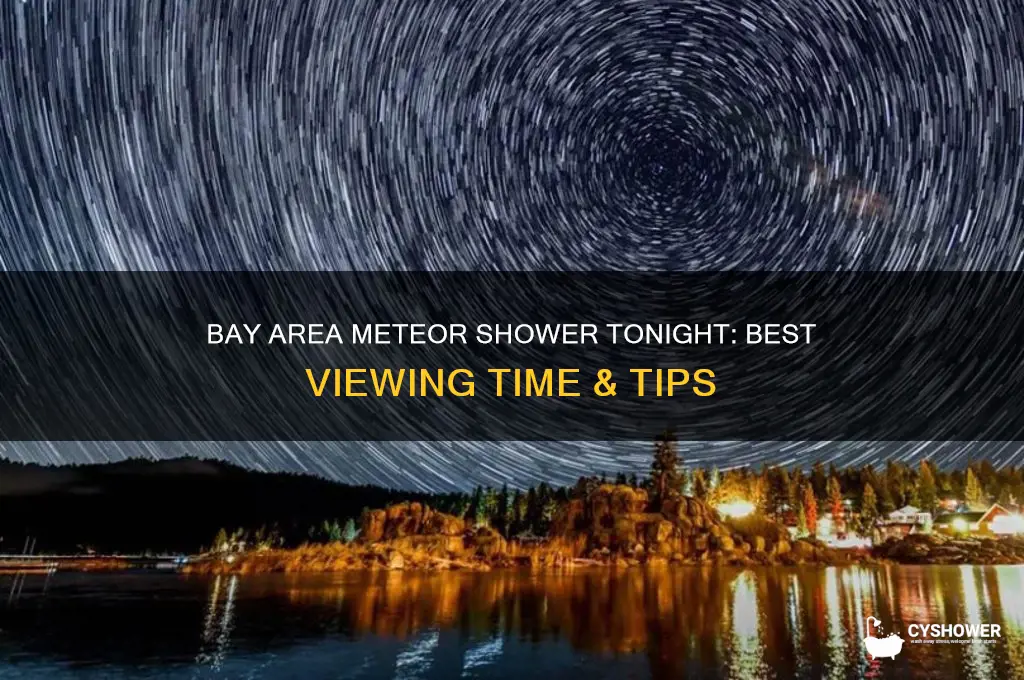 what time is the meteor shower tonight in bay area
