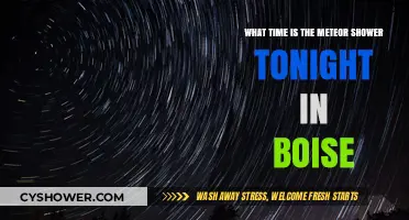 Boise Meteor Shower Tonight: Start Time and Viewing Tips