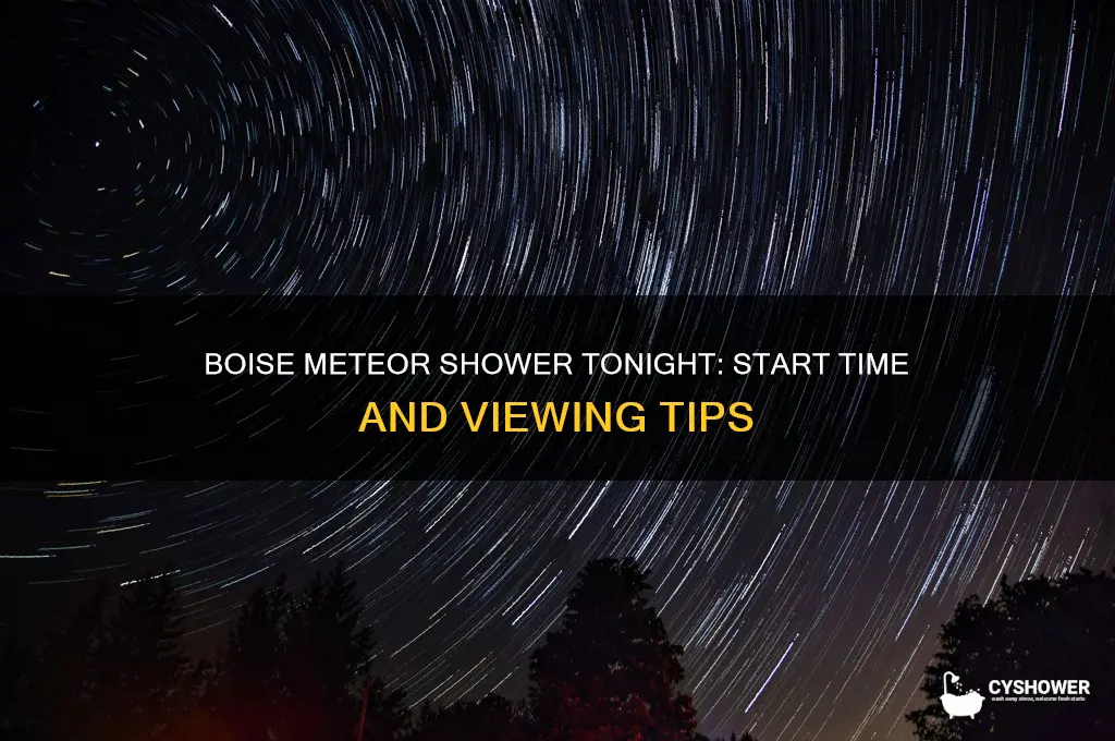 what time is the meteor shower tonight in boise