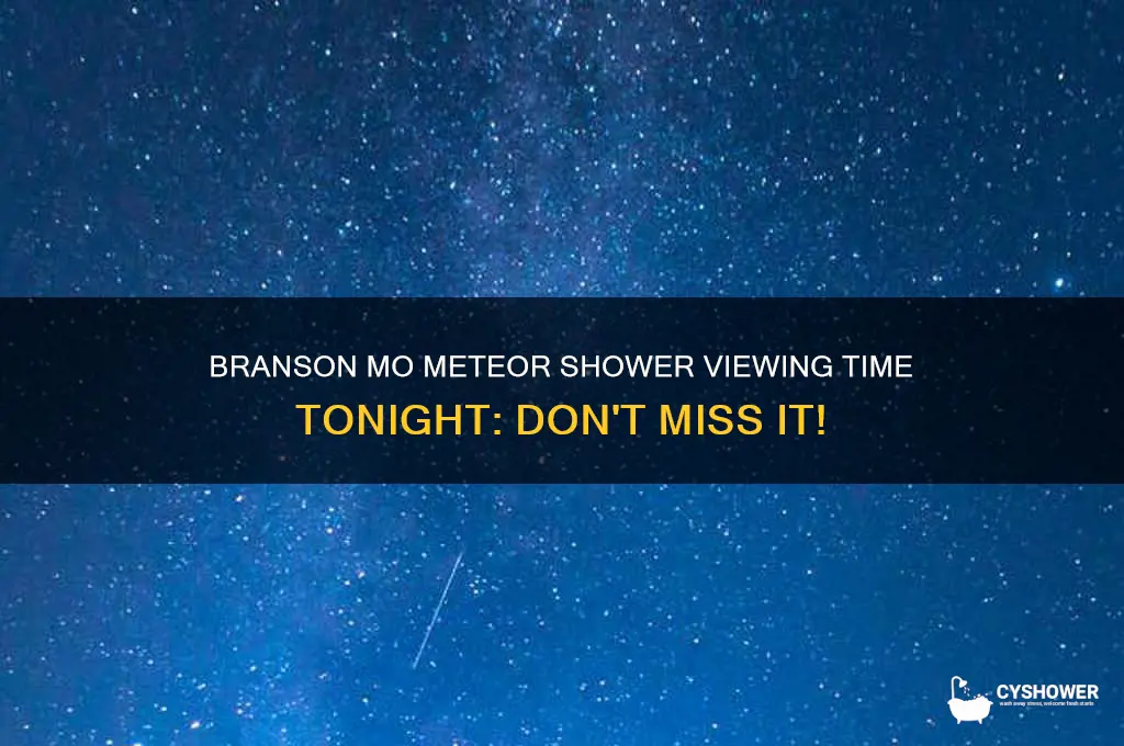 what time is the meteor shower tonight in branson mo