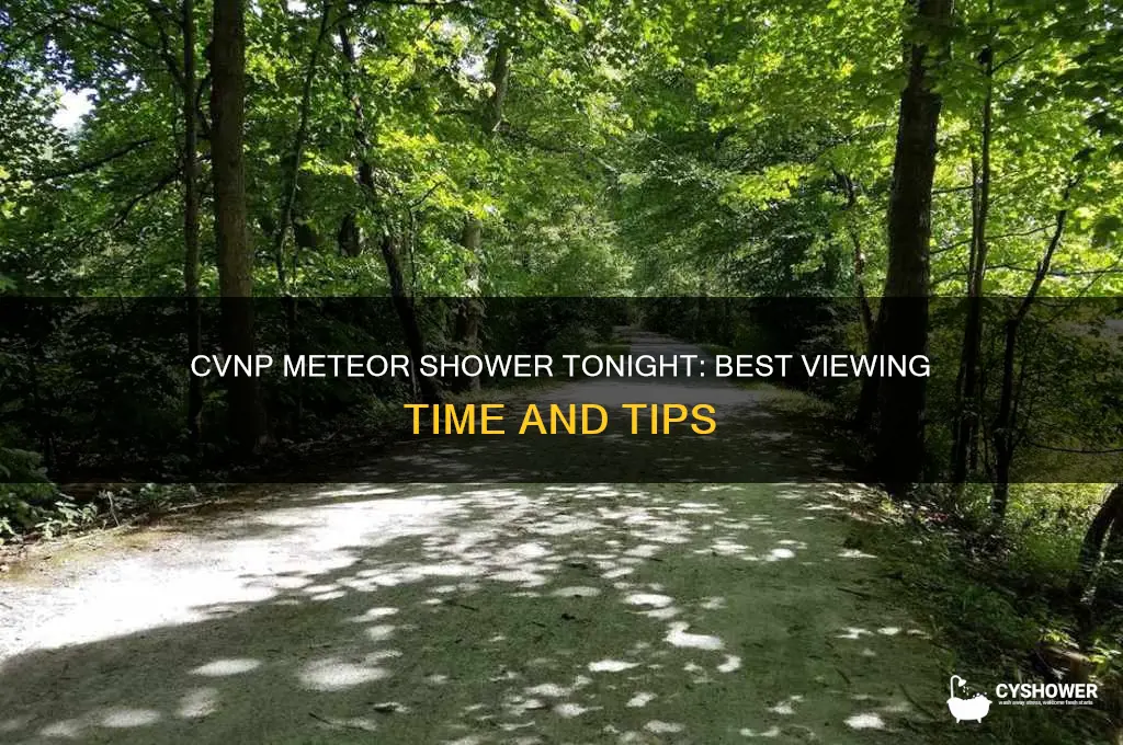 what time is the meteor shower tonight in cvnp