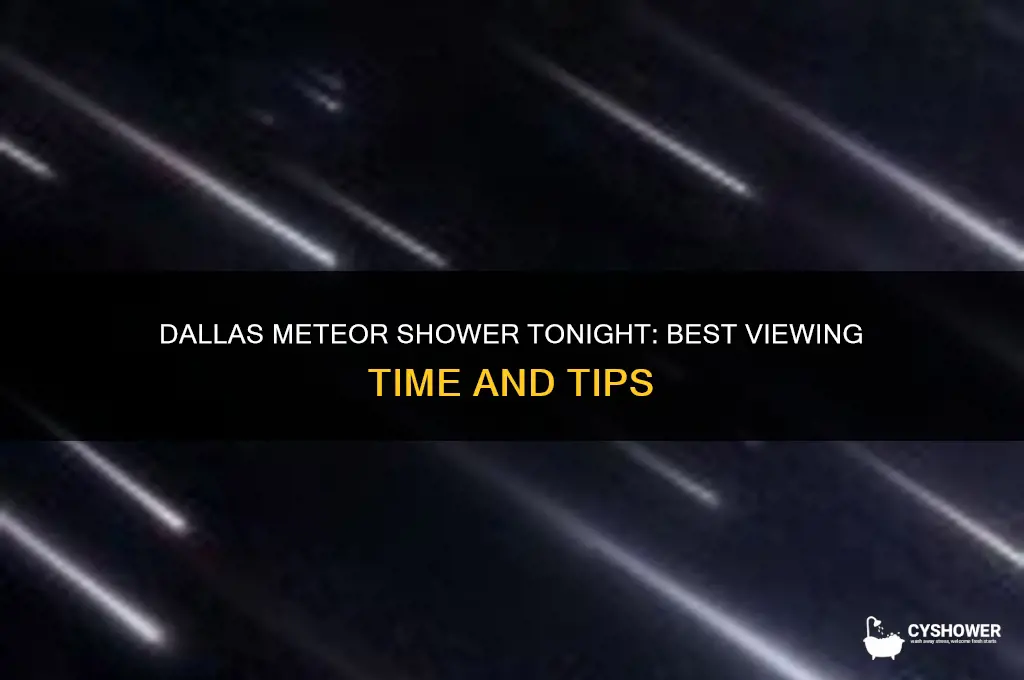 what time is the meteor shower tonight in dallas texas
