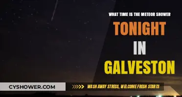 Galveston's Night Sky: Meteor Shower Viewing Time Tonight