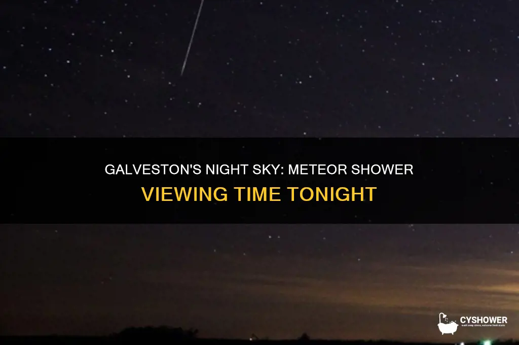 what time is the meteor shower tonight in galveston