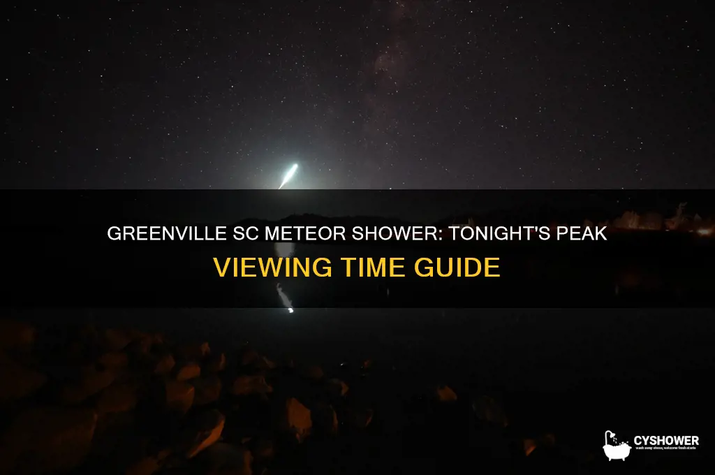 what time is the meteor shower tonight in greenville sc