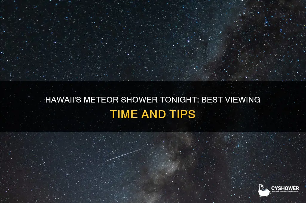 what time is the meteor shower tonight in hawaii