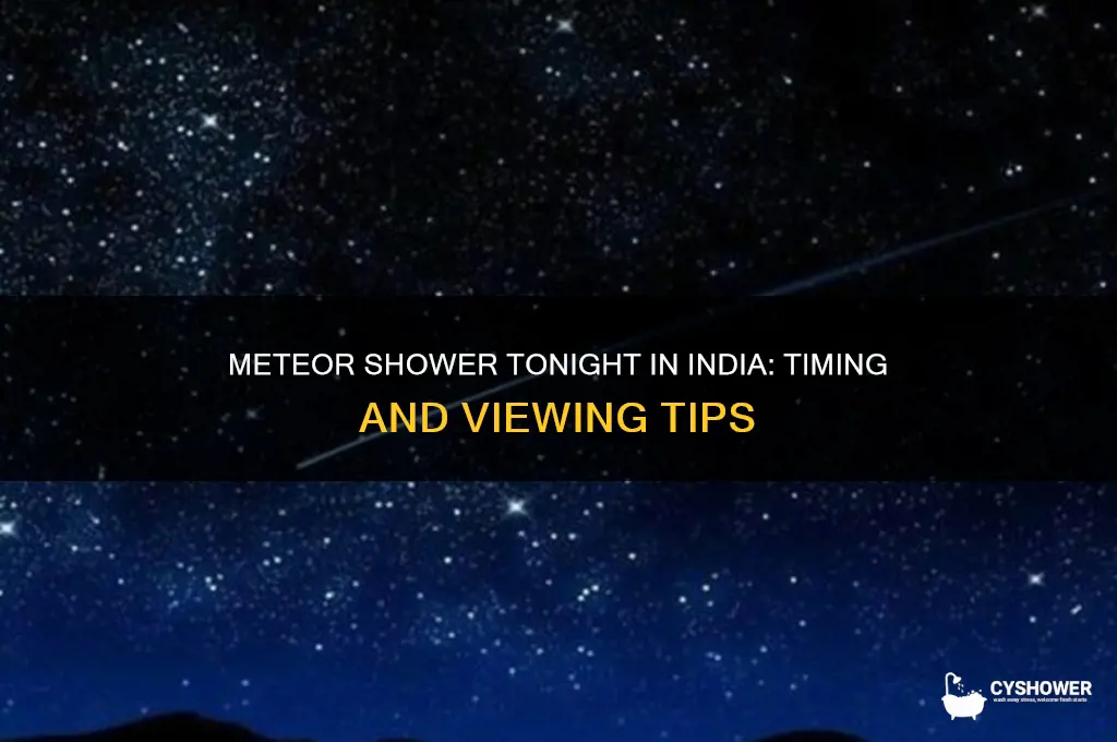 what time is the meteor shower tonight in india
