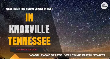 Knoxville Meteor Shower Viewing Time Tonight: Don't Miss the Show!