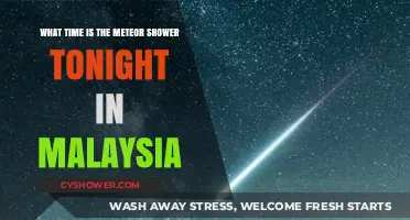 Malaysia's Meteor Shower Tonight: Best Viewing Time and Tips