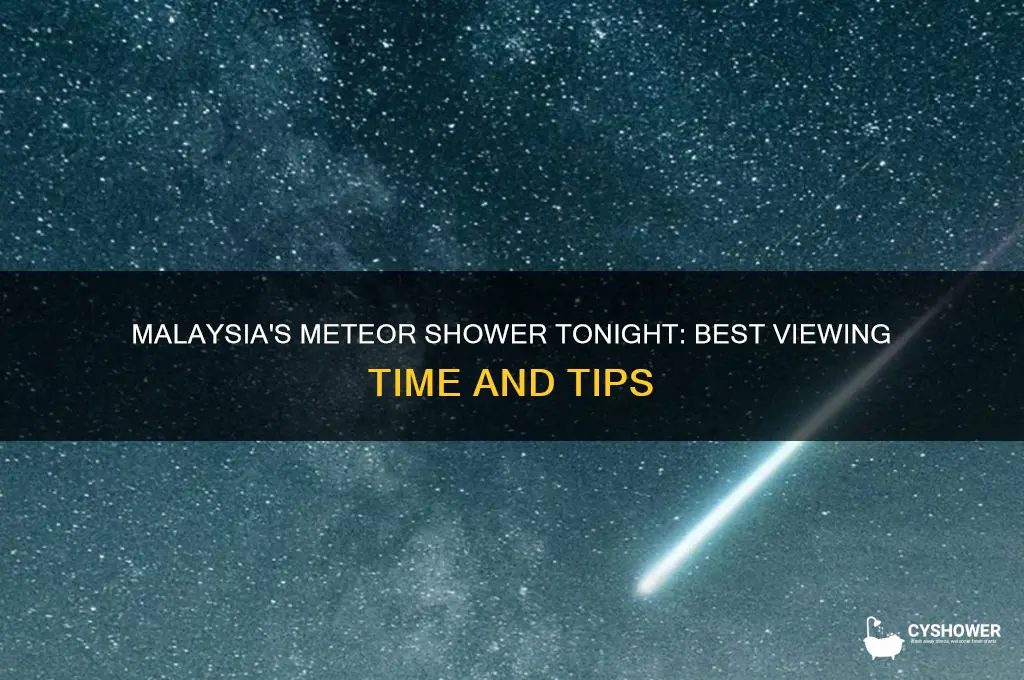 what time is the meteor shower tonight in malaysia