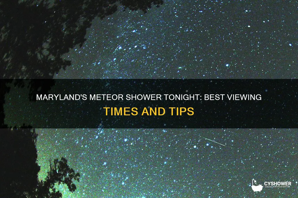 what time is the meteor shower tonight in maryland
