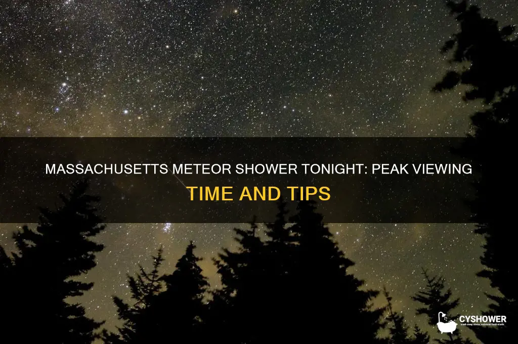 what time is the meteor shower tonight in massachusetts