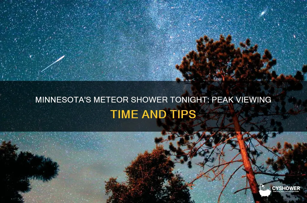 what time is the meteor shower tonight in minnesota