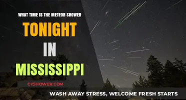 Mississippi Meteor Shower Tonight: Best Viewing Time and Tips