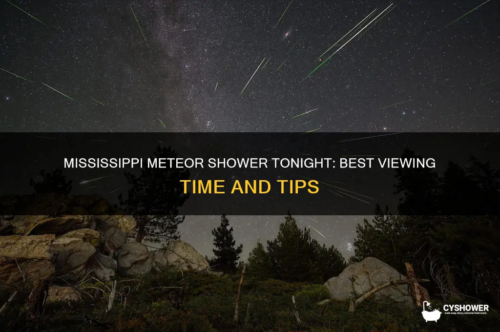 what time is the meteor shower tonight in mississippi
